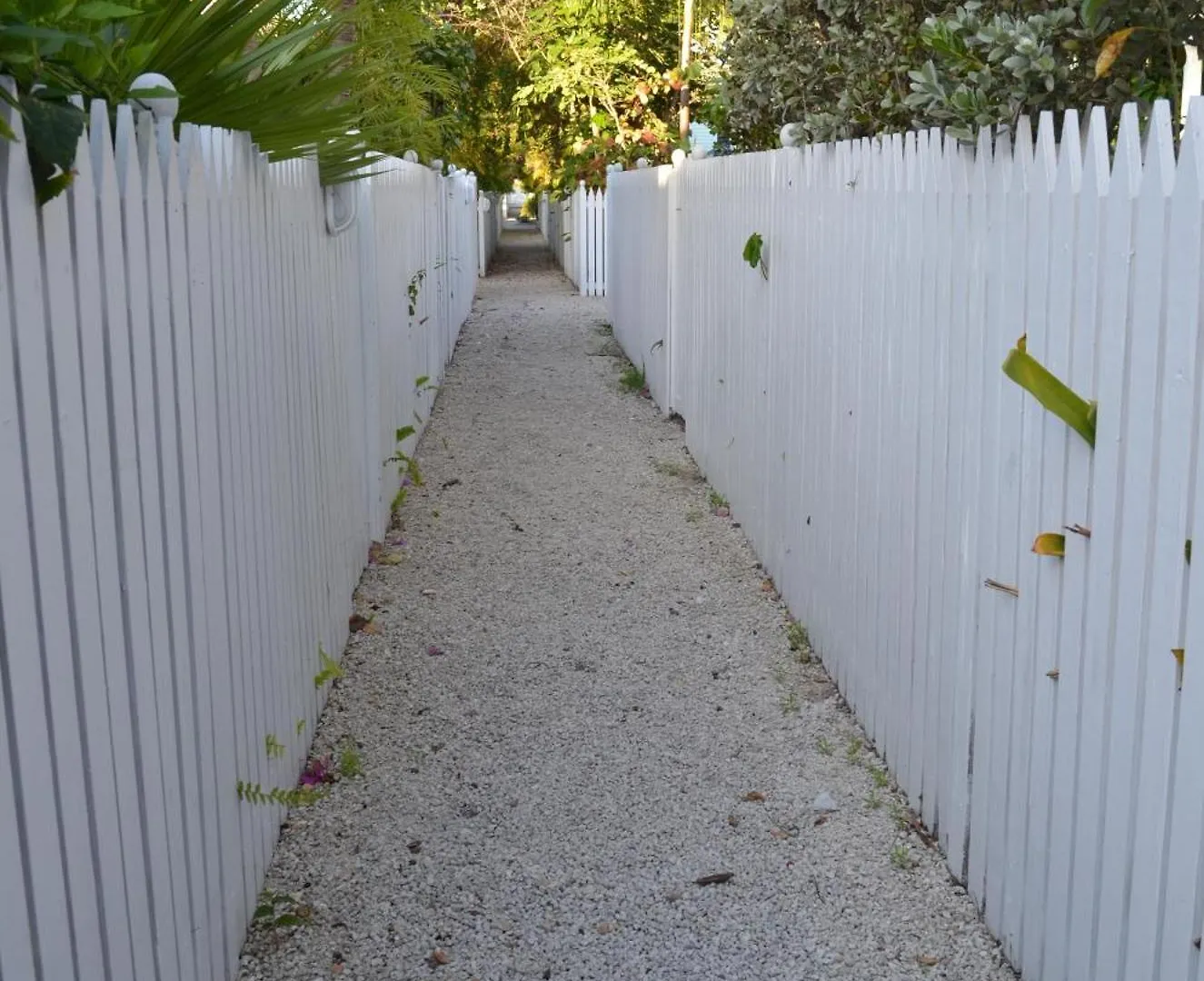 Beautiful Downtown Truman Annex Condo Key West